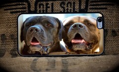 English Mastiff Custom Made to Order Phone Case
